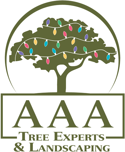 AAA logo with holiday lights in the tree