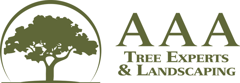 AAA Tree Experts logo