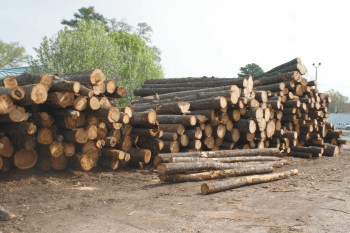 hardwood logs